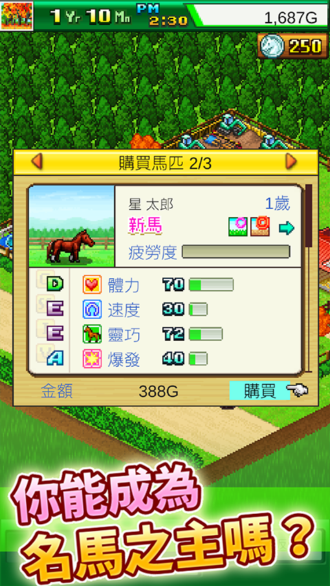 赛马牧场物语中文版