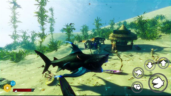 深海大鱼吃小鱼