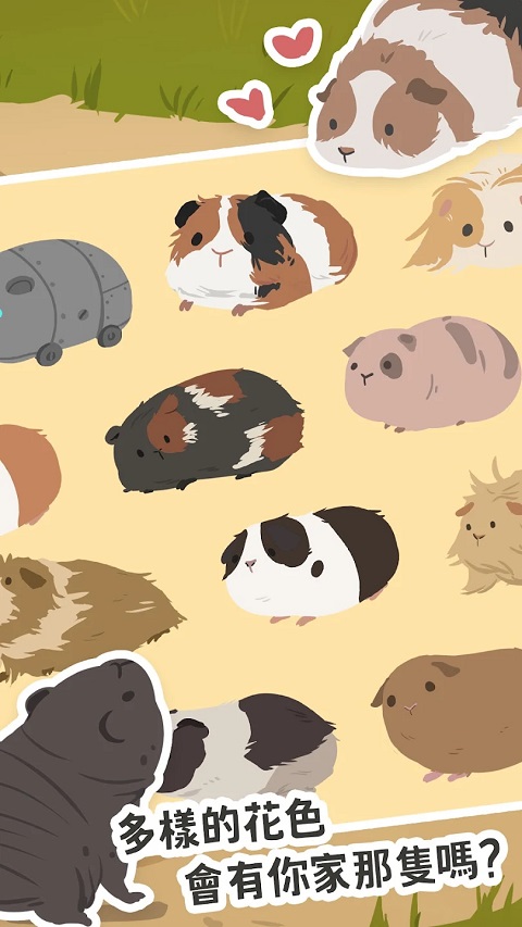 天竺鼠农场最新版本