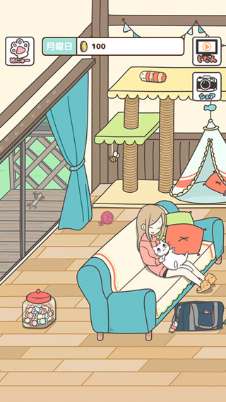 猫咪饲养日常游戏
