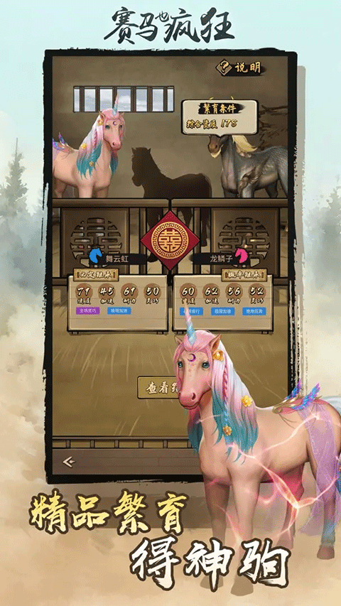 赛马也疯狂中文最新版