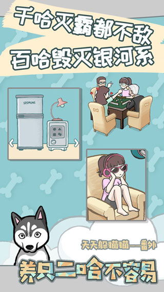 养只二哈不容易手游