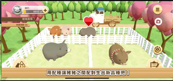 养猪场3D最新版
