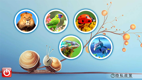 宝宝儿童动物世界