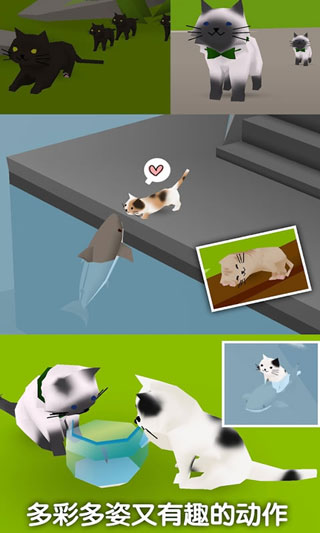 猫猫与鲨鱼手机版