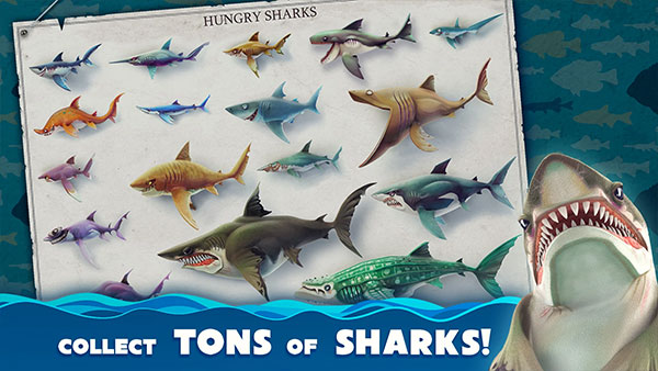 饥饿鲨世界国际服正版(Hungry Shark World)