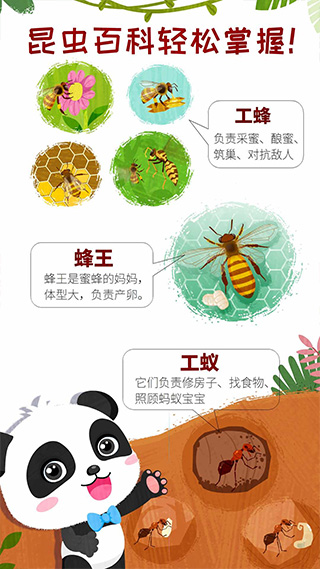 奇妙昆虫世界游戏