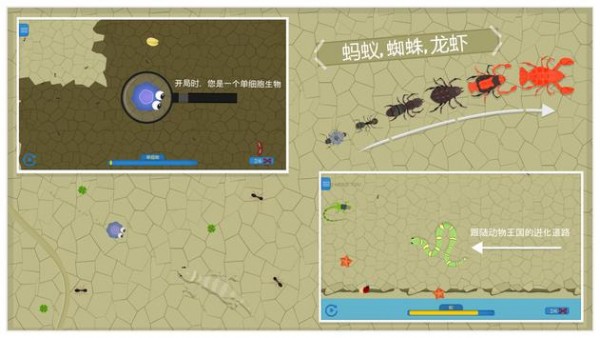 动物进化游戏混种孢子突变