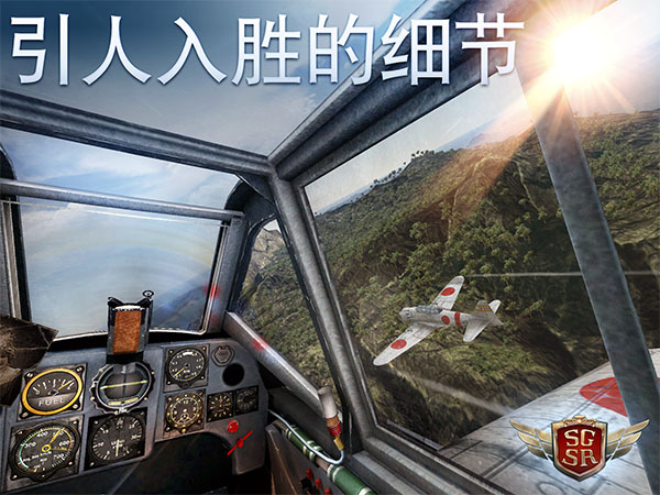 搏击长空风暴特工队