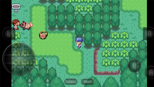 宝可梦洛克王国官方正版