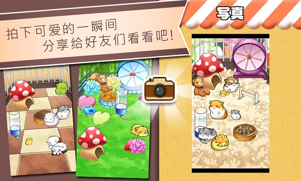 仓鼠的日常国际版