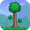 Terraria1.4.4.9.6汉化版