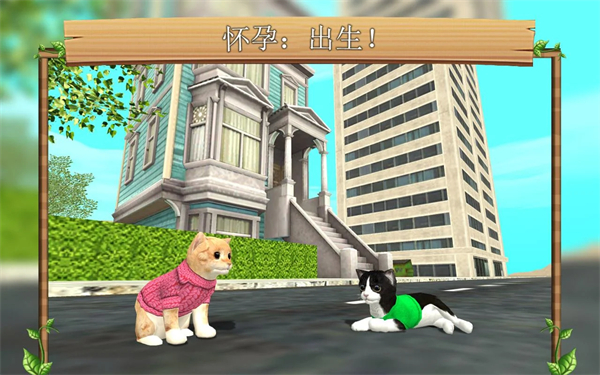 猫咪生存模拟器官方正版