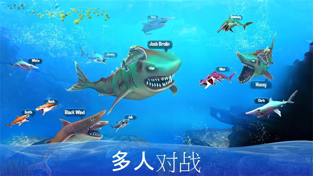 双头鲨游戏国际服