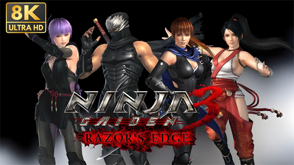 忍者龙剑传3手机单机版