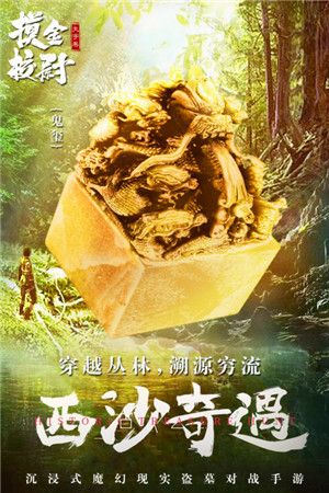 摸金校尉之天字卷SVIP版