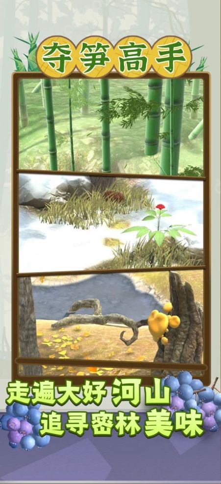 夺笋高手折相思图鉴全开版下载