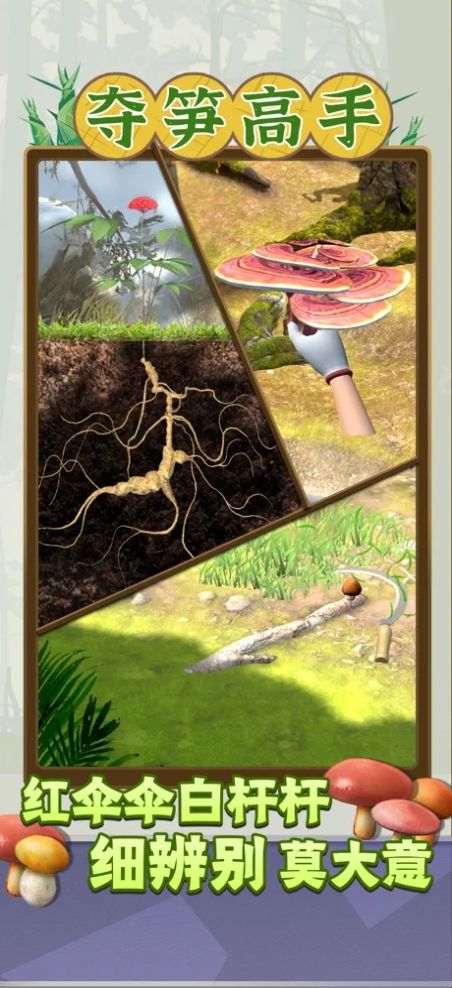 夺笋高手折相思图鉴全开版下载