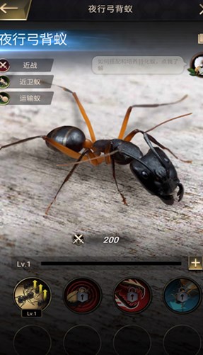 小小蚁国蚁族时代手游官方安卓版