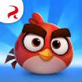 愤怒鸟之旅游戏安卓版最新下载