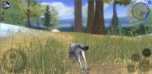 野狼模拟器2优势配图1