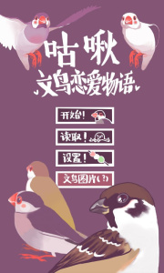 文鸟恋爱物语