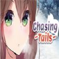 Chasing Tailssteam游戏手机版中文版 v1.0