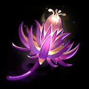 奇茸通天菊