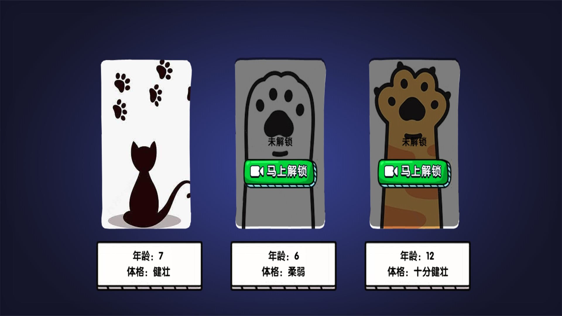 猫咪城市探索行