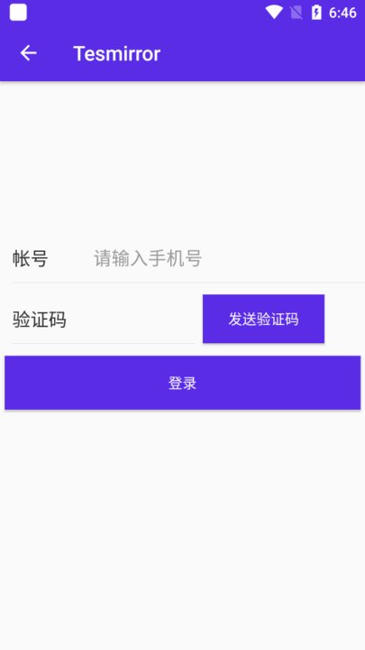 tesmirror软件