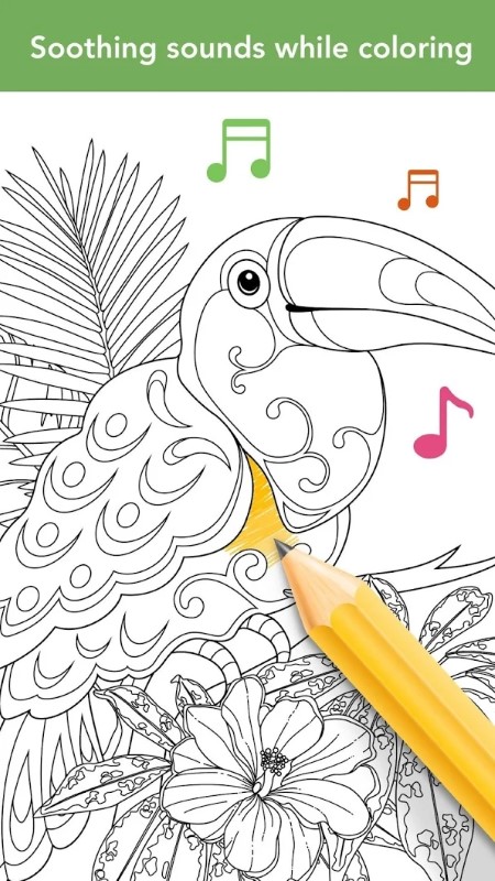 colorfit游戏