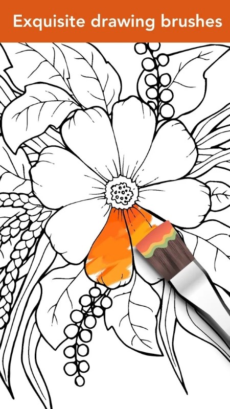 colorfit游戏