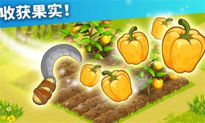 家庭岛