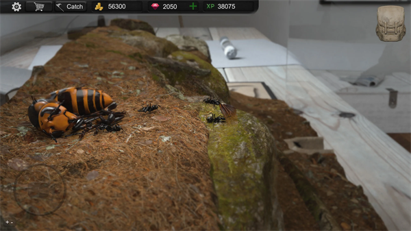 蚂蚁模拟大亨(Ant Sim Tycoon)