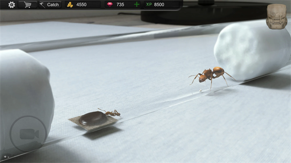 蚂蚁模拟大亨(Ant Sim Tycoon)